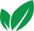 Thejunglegreens